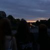 lily_071511