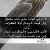 user1611366178168