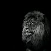 ayqam_057_57