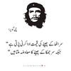 albalooshi6194