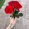shyn.khn51