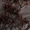 madina_gkl01