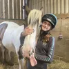holls.equinee