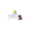 mustafahamed720.h