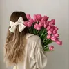 itsana_