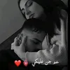 bdhbv3