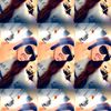 graceanne179