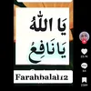 shahid.meo274