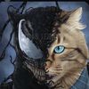 kitty77873