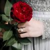fadia.mohamed73