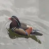mksls_12
