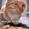 ari_iz8