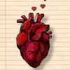 soso.yehya
