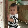 nuggerttss