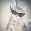 abbas_gaming_soccer