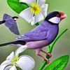 md.rana.pk03