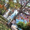 isalia43e
