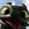 toothless609