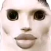 juan_tart