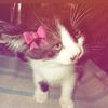 vaska_official.1