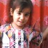 kingsha522