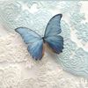 eman.gamal433