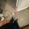 mavz___