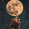 xelilov_279