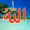 user830118671928
