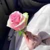 user19324302306328