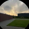 _balint141