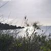 life_in_mediterranean