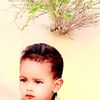 laidfarhi