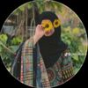 misty.meya.jannat45