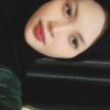 shelvii_s.a