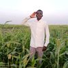 abdallahhassan6340