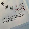 najah.mohamed75