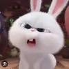 vananh._26
