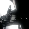 denisdenis9153