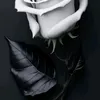 gat_ar