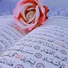 mai.nasser95