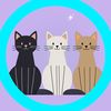 kitty.cat.co