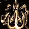 ali.raja6320