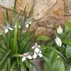 marciadias0288