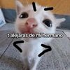 jadde_120