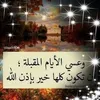 youssef.bouhouch8