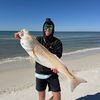 Catching_cyle