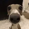unio_ta_ligado