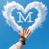 mu_bh8