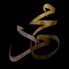 mohamed_walied_0